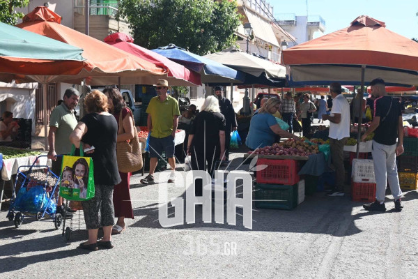 Λαϊκή Πύργου: «Τελειώνουμε σιγά σιγά» - Από τους 200 πάγκους, στους 85 – Τι λένε παραγωγοί και έμποροι