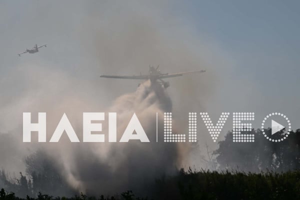 Πυρκαγιά σε γεωργική έκταση στο Τραγανό Πηνειού (photos)