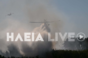 Σε ύφεση η πυρκαγιά στο Τραγανό Πηνειού - Σταδιακή αποκατάσταση της κυκλοφορίας στην Ολυμπία Οδό (photos)