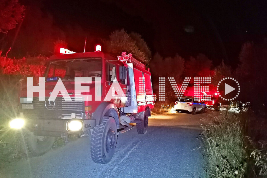 Ν. Φιγαλεία: Κινητοποίηση της πυροσβεστικής για ακινητοποιημένο όχημα σε ερημικό δρόμο