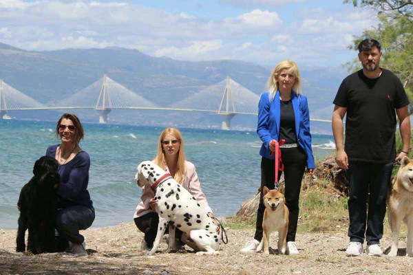 Νέα πρωτοβουλία του Παραρτήματος Ηλείας της Ελληνικής Αντικαρκινικής Εταιρείας με δράσεις θεραπευτικής επαφής μέσω ζώων συντροφιάς