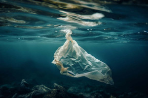Νέες μορφές ζωής και παλιά σκουπίδια ανακάλυψαν θαλάσσιοι βιολόγοι σε βάθος 4.000 μέτρων