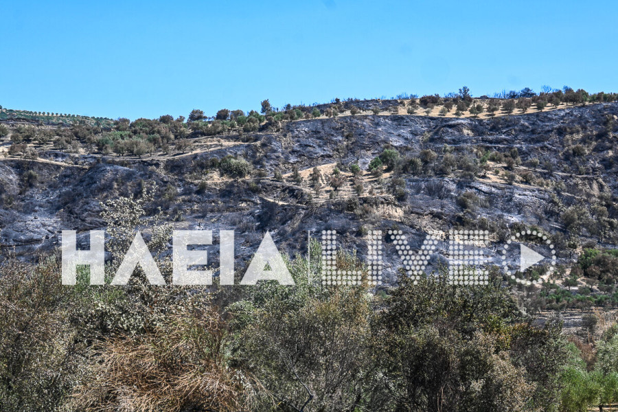 Πυρκαγιά σε Χελιδόνι, Ηράκλεια, Λαντζόι: 8.000 στρέμματα καμένης γης και ο εφιάλτης των πλημμυρών ζωντανεύει