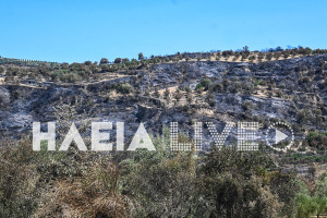 Πυρκαγιά σε Χελιδόνι, Ηράκλεια, Λαντζόι: 8.000 στρέμματα καμένης γης και ο εφιάλτης των πλημμυρών ζωντανεύει