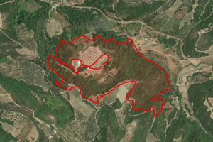 Γεράκι Αμαλιάδας: Κάηκαν 410 στρέμματα - Τι είδε ο δορυφόρος
