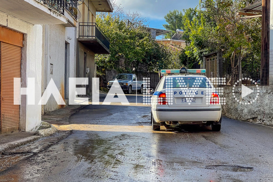 Ράχες Κρεστένων: 52χρονος αλλοδαπός έκλεψε αυτοκίνητο και κατέληξε σε χαντάκι