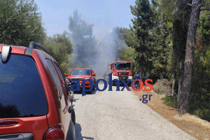 Πάτρα: Δύο νέες εστίες στα Βραχνέικα κοντά στην πίστα καρτ – Ο πρώτος συναγερμός για φωτιά σήμανε το πρωί