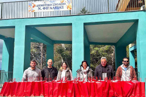Σύλλογος Νεολαίας και Άθλησης Νέας Φιγαλείας: Δωρεά σχολικών ειδών στο Δημοτικό Σχολείο και το Νηπιαγωγείο