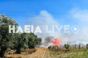Καρδαμάς: Πυρκαγιά έκαψε τέσσερα στρέμματα αγροτικής έκτασης