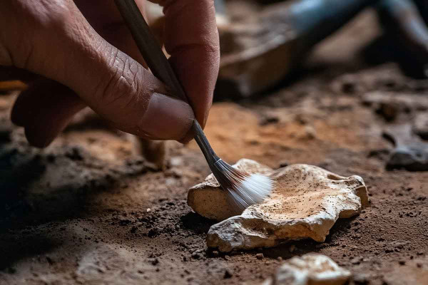 Αρχαίο κρανίο 7.500 ετών που είχε χαρακτηριστεί ως πιθανό υβρίδιο Νεάντερταλ επαναξιολογείται