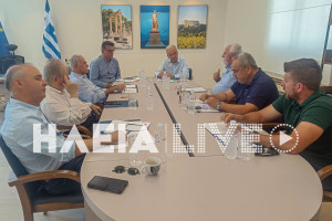 Ηλεία: Επιμελητήριο και Δήμοι σε κοινό μέτωπο για τα πυρόπληκτα δάνεια