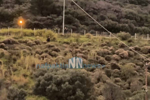 Μακύνεια Ναυπακτίας: Συναγερμός στην αερογέφυρα με άτομο που απειλούσε να πέσει (video)