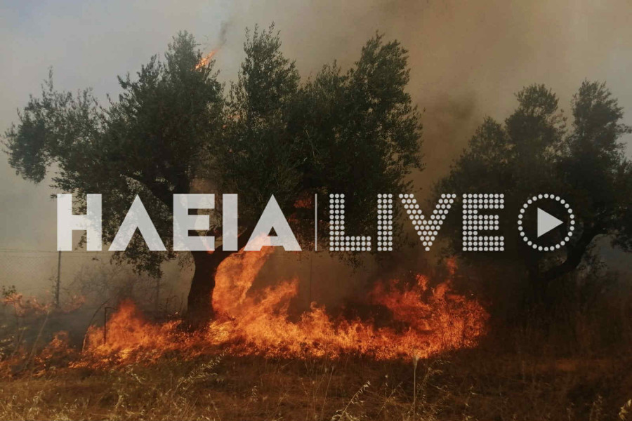 Βαρθολομιό: Κάηκαν αγροτικές εκτάσεις και αγροικίες κοντά στο δάσος των Θινών (photos)