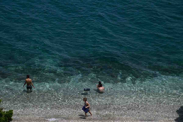 Εύβοια: Πλωτά φράγματα μήκους 10 χιλιομέτρων για τις μωβ μέδουσες