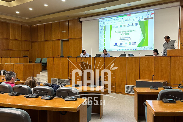 Εκπυρήνωση πριν την έκθλιψη – Μια νέα εποχή για ποιοτικότερο ελαιόλαδο στην Ηλεία