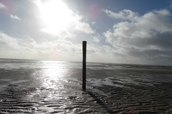 Κλιματική αλλαγή: Η άνοδος της στάθμης της θάλασσας εξαφανίζει σπίτια στις παράκτιες περιοχές