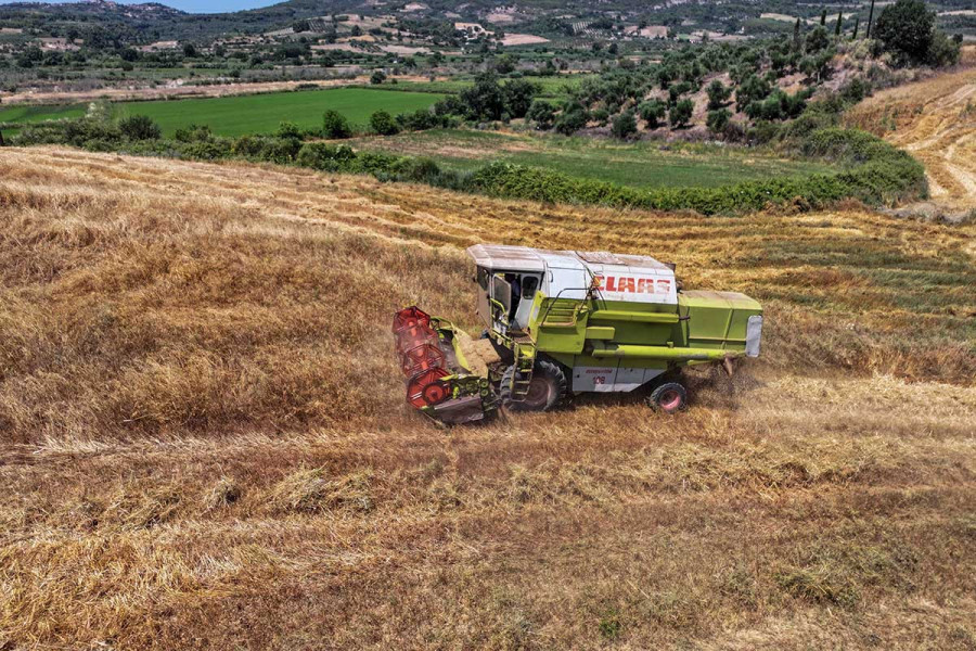 Πως η γεωργία και η κτηνοτροφία μπορούν να αντιμετωπίσουν το θερμικό στρες