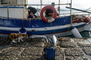 Κάλυμνος: Ψαράς βρέθηκε νεκρός να επιπλέει στη θάλασσα - Έφερε τραύματα από μαχαίρι