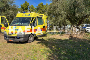 Άσπρα Σπίτια: 73χρονος βρέθηκε νεκρός σε ελαιώνα - Μάζευε μόνος τις ελιές του