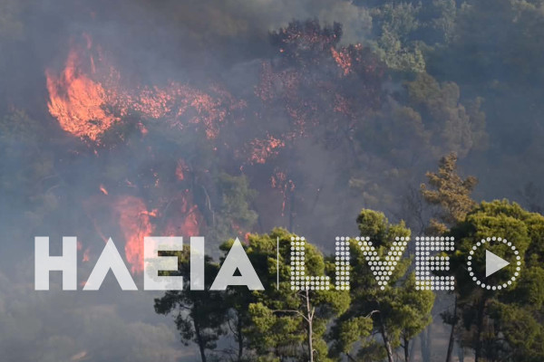 Ηλεία: Μαίνεται ανεξέλεγκτη η πυρκαγιά στην παλιά Σκιλλουντία - Μάχη και για τη φωτιά στο Μαζαράκι (photos)