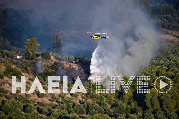 Ηλεία: Χωρίς ενεργά μέτωπα οι πυρκαγιές σε παλιά Σκιλλουντία και Πηνεία (photos)