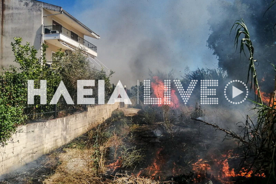 Λεχαινά: Οι φλόγες “έγλυψαν” τα σπίτια - Πυρκαγιά σε ακαθάριστο οικόπεδο κινητοποίησε την Πυροσβεστική