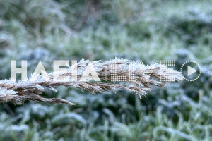 Ηλεία: Δεύτερη ημέρα στον “πάγο” ο νομός - Στους -1,3oC υποχώρησε ο υδράργυρος