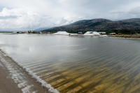 Μεσολόγγι: SOS για τη λιμνοθάλασσα, λύματα και απόβλητα απειλούν το οικοσύστημα