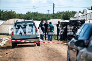 Ψάρι Βάρδας: Τον σκότωσε με μια μαχαιριά στην καρδιά (photos)