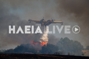 Μέλισσα Λεχαινών: Υπό έλεγχο η μεγάλη πυρκαγιά - Τιτάνια η προσπάθεια των πυροσβετικών δυνάμεων