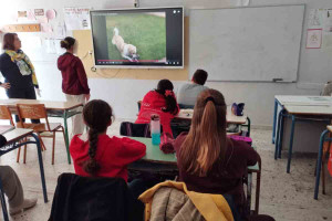 2ο Γυμνάσιο Πύργου: Πανελλήνια Σχολική Ημέρα Φιλοζωίας