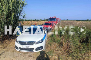 Κέρκυρα: Τι υποστηρίζει ο 56χρονος που δολοφόνησε τον αδελφό του
