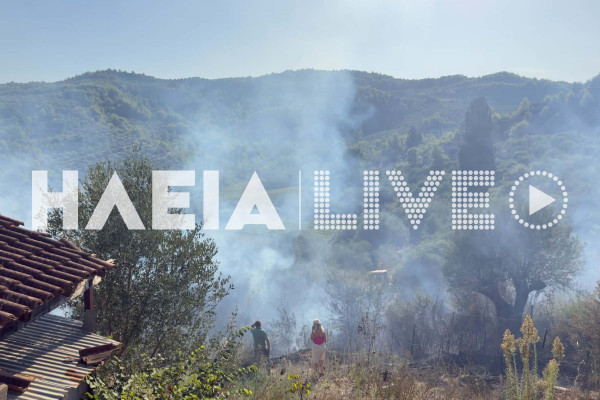 Πύργος: Ταυτόχρονες φωτιές σε Χειμαδιό και Μουζάκι