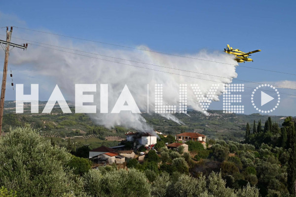 Πύργος: Υπό μερικό έλεγχο η πυρκαγιά στο Χειμαδιό - Καίει σε λιοστάσι μέσα στο χωριό