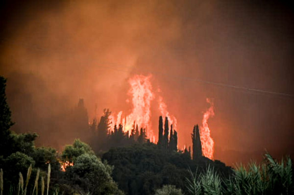 Πορτοκαλί συναγερμός: Πολύ υψηλός κίνδυνος φωτίας σήμερα (16/8) σε αρκετές περιοχές – Δείτε το χάρτη