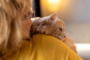 Ο συγκινητικός λόγος που η γάτα μάς ακουμπάει με το κεφάλι της