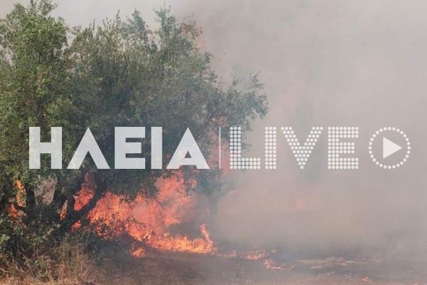 Σε ύφεση η πυρκαγιά στην Αγ. Μαρίνα Βουπρασίας - Ανεκόπη λίγο πριν περάσει στο δάσος