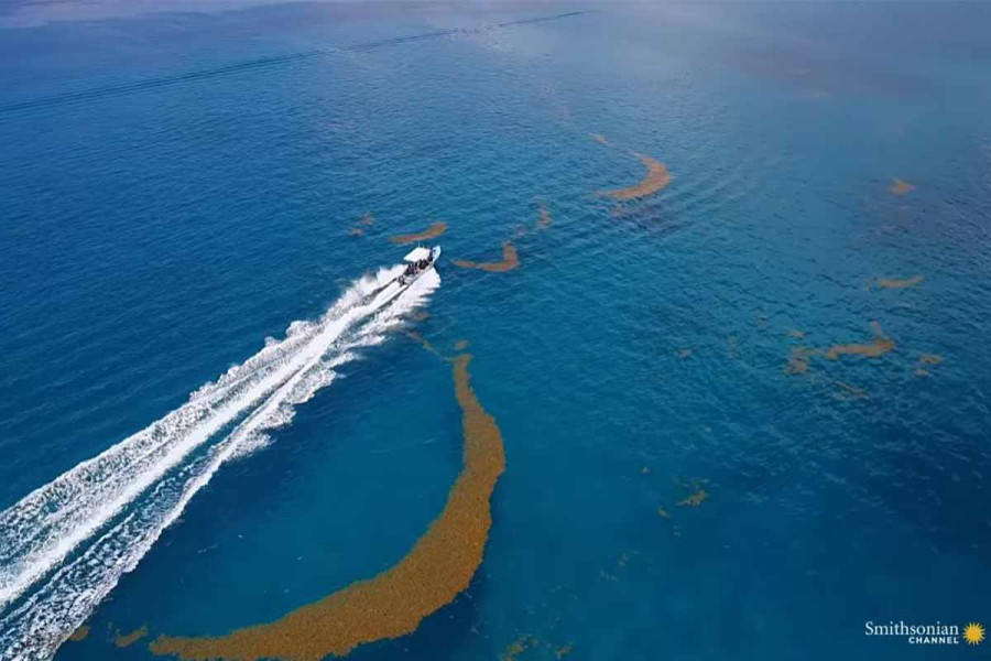 Η μόνη θάλασσα στη Γη που δεν αγγίζει στεριά – Ο μυστηριώδης ωκεανός παγιδευμένος στον Ατλαντικό