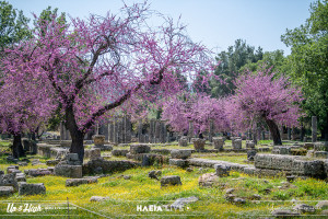 Ηλεία: Στο επίκεντρο του προγράμματος «Όλη η Ελλάδα - Ένας Πολιτισμός»
