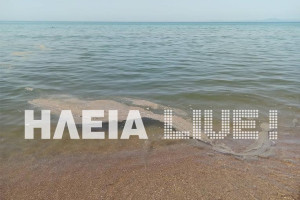 Ηλεία: Αγροτικά και κτηνοτροφικά υπολείμματα βασική αιτία ρύπανσης των ακτών του νομού