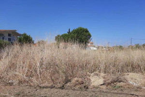 Υποχρεωτικός καθαρισμός οικοπεδικών χώρων και υποβολή δηλώσεων για την Αντιπυρική Περίοδο 2026