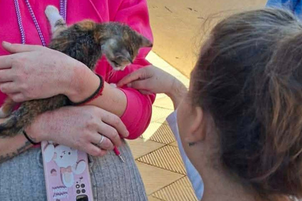 Ηλεία: Όταν η αγάπη γίνεται μάθημα ζωής - Το Ειδικό Δημοτικό Σχολείο Λεχαινών ανοίγει την αγκαλιά του στα ζώα