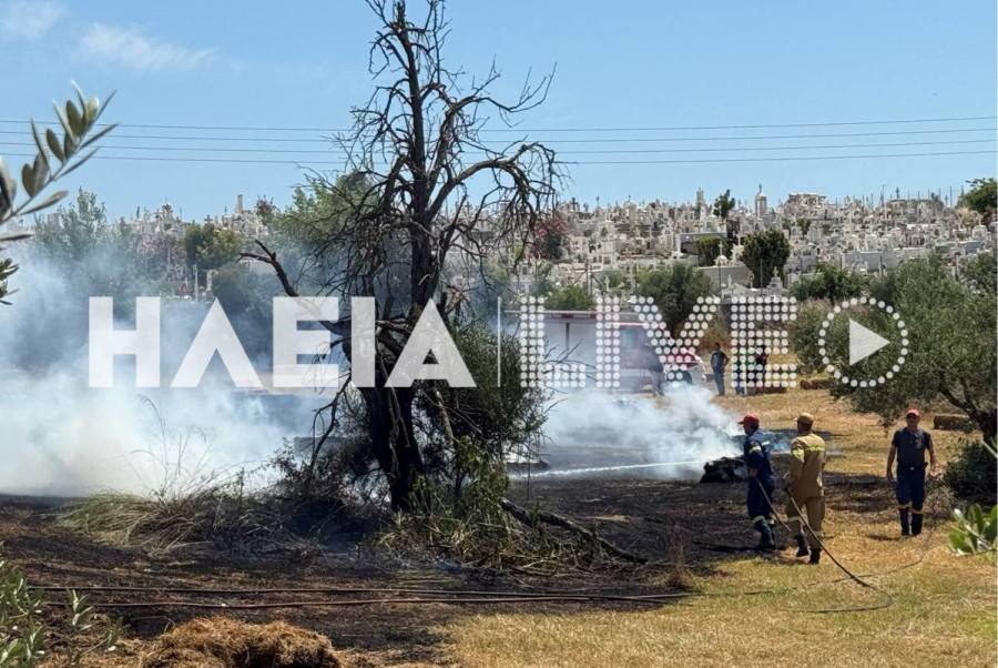 Πύργος: Ξέσπασε πυρκαγιά σε οικόπεδο δίπλα στο νεκροταφείο της πόλης (photos &amp; video)