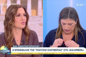 Κωνσταντοπούλου: Αποχώρησε on air από εκπομπή του ΣΚΑΪ - «Λυπάμαι πάρα πολύ» (video)