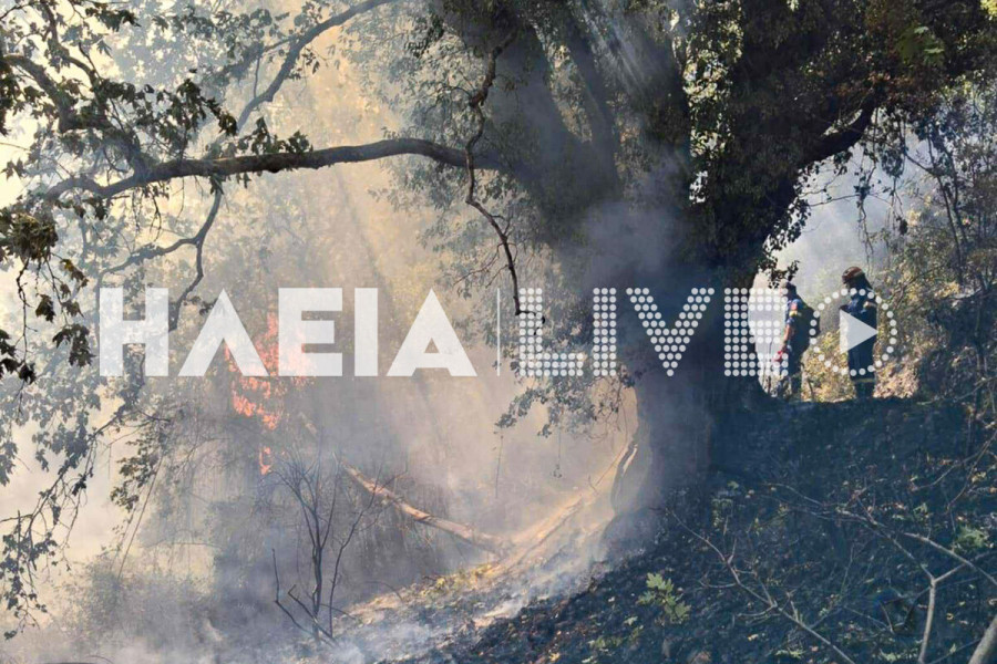 Λασιώνα Ηλείας: Οριοθετήθηκε η πυρκαγιά κοντά στο Χάνι Σπαρτουλιά
