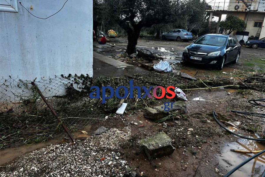 Μεσσηνία: Ξηλώθηκαν δέντρα και δρόμοι «κόπηκαν» στα δύο λόγω της κακοκαιρίας (photos &amp; video)