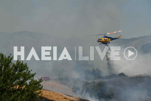 Κάμενα: Από καταστροφέα η πυρκαγιά, έκαψε 30 στρέμματα