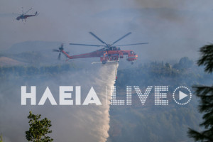 Αρχ. Ολυμπία: Τοποθετείται σταθμός έγκαιρης ανίχνευσης πυρκαγιών