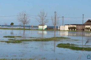 Κατερίνη: Πλημμύρισε το παραλιακό μέτωπο - Αίτημα να κηρυχθεί σε κατάσταση έκτακτης ανάγκης