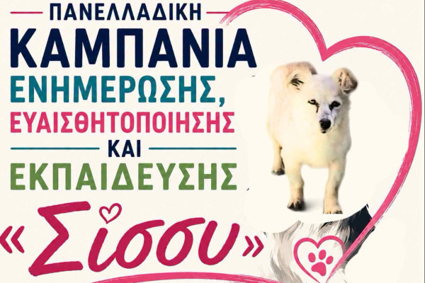 Ηλεία: Η Σίσσυ χάθηκε, αλλά μπορεί να γίνει σύμβολο αλλαγής- Πρόταση από την ΠΦΠΟ για την «Καμπάνια Σίσσυ» στον Δήμο Πηνειού